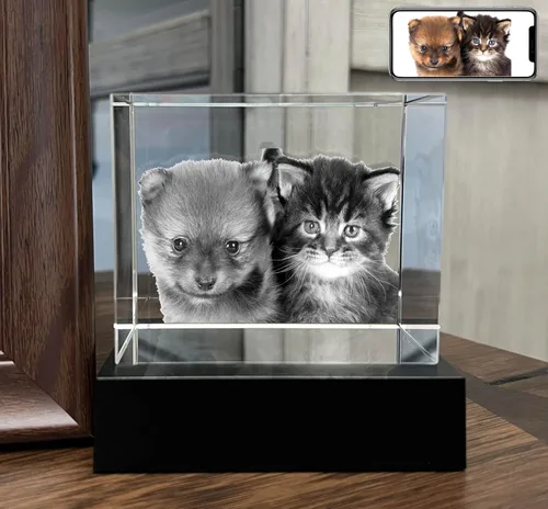 Miniatura 11 de Foto de cristal 3D personalizada, regalos conmemorativos para perros y gatos personalizados para dueños de mascotas. Caja de regalo incluida, foto