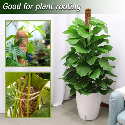 Miniatura 2 de Poste de musgo de 48 pulgadas, poste de musgo flexible para plantas Monstera, postes de musgo altos para plantas trepadoras de interiores, soporte
