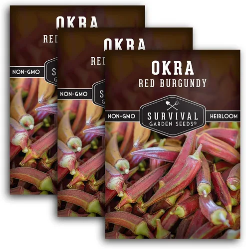 Miniatura 11 de Survival Garden Seeds - Semilla de Okra rojo burdeos para plantar - Paquete con instrucciones para plantar y cultivar vainas tiernas de Okra Borgoña