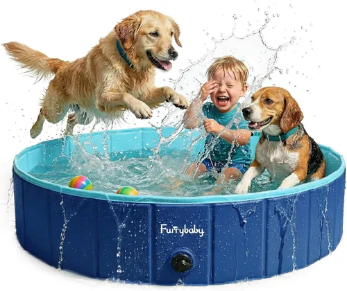 Miniatura 17 de Furrybaby Piscina para perros, piscina infantil plegable de plástico duro para perros grandes, portátil para mascotas, para nadar