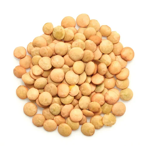 Miniatura 3 de Yupik Lentejas Verdes Orgánicas, 2.2 lb (35.2 oz), Sin OGM, Veganas, Sin Gluten, Kosher, Crudas, Fuente de Fibra, Hierro y Proteínas, Fibra