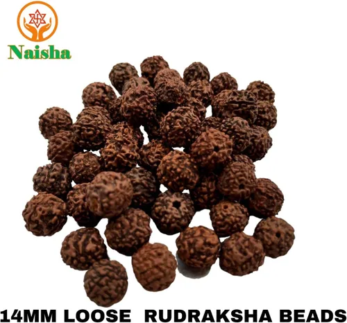 Miniatura 7 de Naisha Natural Rudraksh - 121 cuentas sueltas de Rudraksha Mala, cuentas de oración genuinas de meditación del Himalaya, cuentas Bodhi de 0.35-0.55