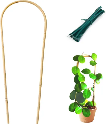 Cambaverd Enrejado de plantas de interior para plantas trepadoras de 16 pulgadas, paquete de 6 enrejados de bambú para plantas en maceta