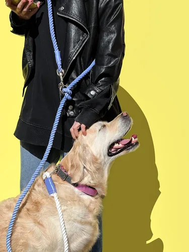 Miniatura 5 de Correa de perro de cuerda de algodón multifuncional hecha a mano con manos libres, respetuosa con el medio ambiente, 8.2 pies con gancho giratorio
