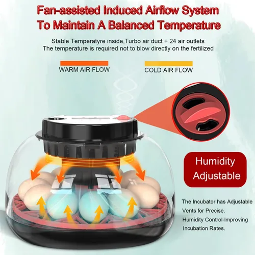 Miniatura 5 de Incubadora de huevos 12-24 con giro automático de huevos y control de humedad, recarga de agua, vela de huevos, incubadoras para incubar pollo