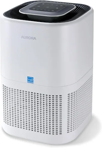 Aurora Purificador de aire AR100W para moho, humo, polvo, olores, polen, alérgenos y gérmenes con purificación de 3 etapas, cubre hasta 1,100 pies