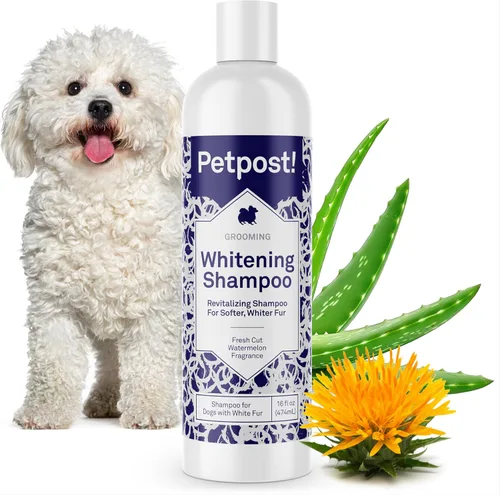 Miniatura 18 de Petpost Champú de argán para perros. Champú para perros con aceite de argán y aloe. Hidrata la piel seca, suaviza el pelaje, restaura el brillo. 8