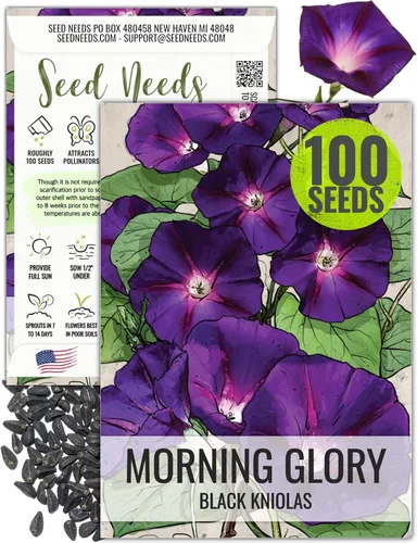 Miniatura 16 de Seed Needs Milky Way Morning Glory - Semillas para plantar enredaderas con flores, reliquia y escaladores polinizados abiertos para crear una cerca