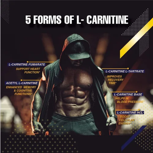 Miniatura 3 de Infinite Labs L Carnitina 1000mg MTX - Mezcla de aminoácidos de fumarato de carnitina, L-carnitina L-tartrato, acetil L-carnitina, L-carnitina HCL