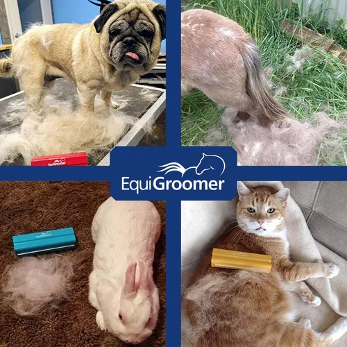 Miniatura 6 de EasyGroomer - Cepillo para quitar pelaje para perros y gatos, herramienta azul para mascotas grandes y pequeñas, elimina la suciedad, el pelo
