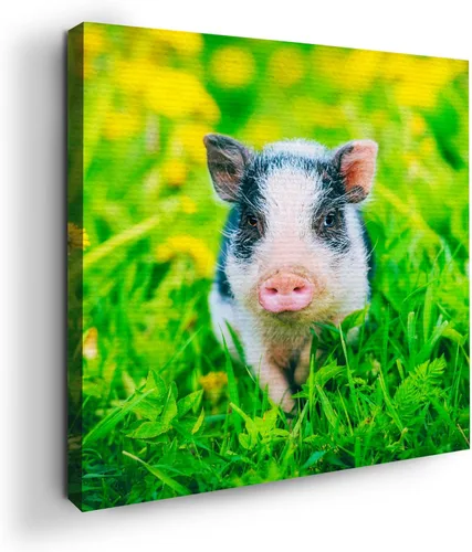 Miniatura 45 de Mavis Print - Lienzo decorativo para pared con diseño de conejo/conejo, 36 x 36 pulgadas, decoración de pared de animales impresos en HD y marco