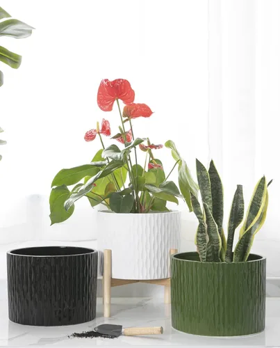 Miniatura 7 de LaDoVita Maceta de cerámica con soporte, maceta de 10 pulgadas con estante de madera, macetas redondas modernas para interiores con soporte
