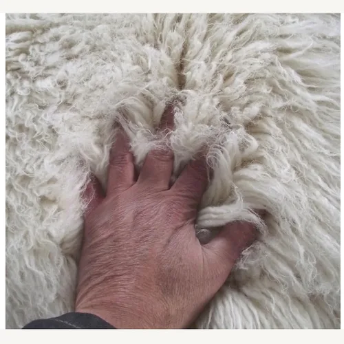 Miniatura 5 de Alfombra flokati redonda clásica de 5 pies. Pelo suave y esponjoso de 3.5 pulgadas. 100% lana natural. Alfombra moderna de color blanco roto lanudo
