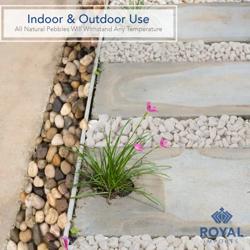 Miniatura 7 de Royal Imports Piedras decorativas de 5 libras, piedras de río, pinturas para acuarios de peces, grava, paisajismo, decoración del hogar natural