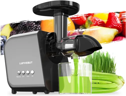 Máquina exprimidora lenta para verduras y frutas, extractor de masticación en frío, apio, hierba de trigo, hojas verdes, zanahoria, jengibre,