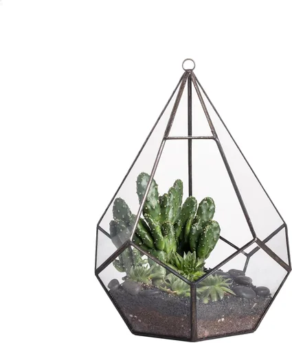NCYP Terrario geométrico de vidrio colgante para suculentas, 6.8 x 6.8 x 8.6 pulgadas, para interiores, con forma de lágrima, maceta de terrario,