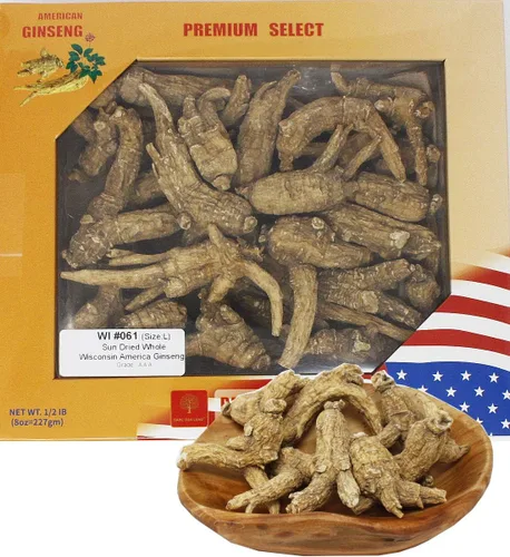 Raíz de ginseng cultivada a mano de Wisconsin Americana Seleccionada a mano Medio Cultivado Wisconsin Ginseng Americano Grande 8oz/Caja