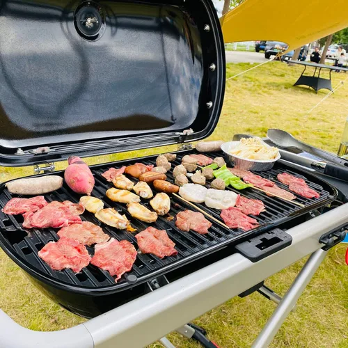 Miniatura 6 de DELSbbq Rejillas de cocción de hierro fundido para Weber Traveler 9010001 9020001 9030001 9013001 parrillas, piezas de repuesto para parrilla Weber