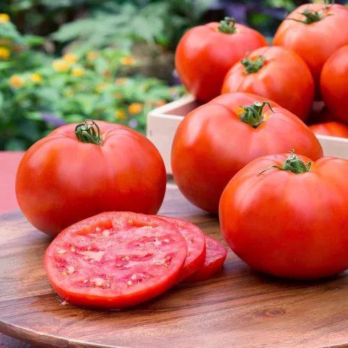 Miniatura 3 de Bonnie Plants Better Boy Tomate Plántula, Planta Viva, para Hamburguesas, Salsa y Salsas, Pleno Sol, 3 Pulgadas Cúbicas, Paquete de 6