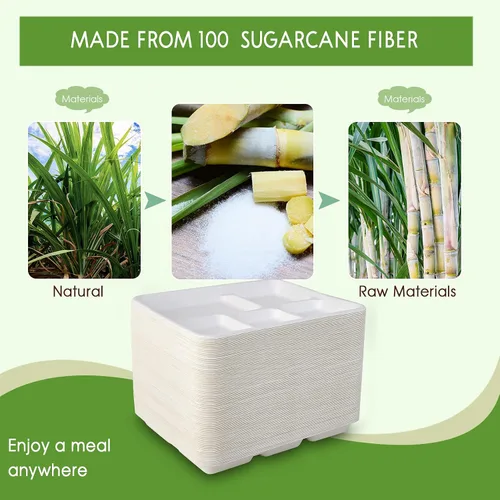 Miniatura 7 de Vplus Platos 100% compostables con 5 compartimentos, paquete de 125 platos ecológicos desechables de caña de azúcar de 10 x 8 pulgadas, bandeja