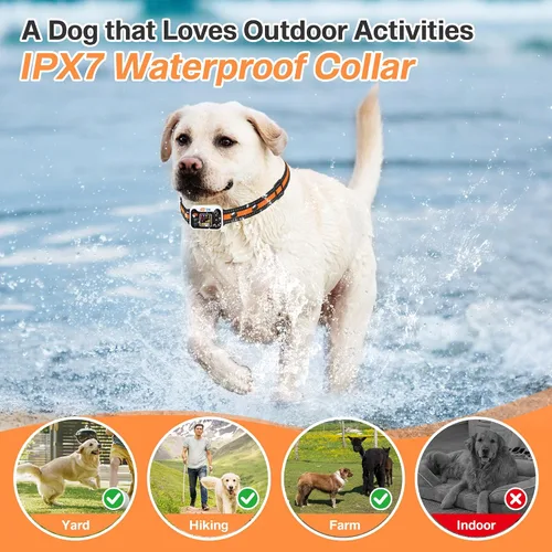 Miniatura 4 de Collar para perro con GPS con 3 modos de corrección, sistema inalámbrico de valla para perro con apertura al aire libre IPX7 impermeable
