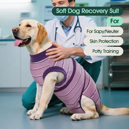 Miniatura 2 de Kuoser - Traje de recuperación para cirugía de perro, traje de recuperación suave y transpirable para perros hembra esterilizados y machos Rayas