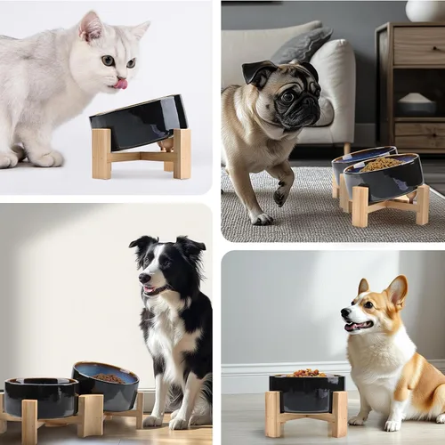 Miniatura 8 de SPUNKYJUNKY Cuenco de cerámica inclinado de 15° para perros y gatos con soporte de madera, cuenco inclinado para comida y agua para bulldog, Azul