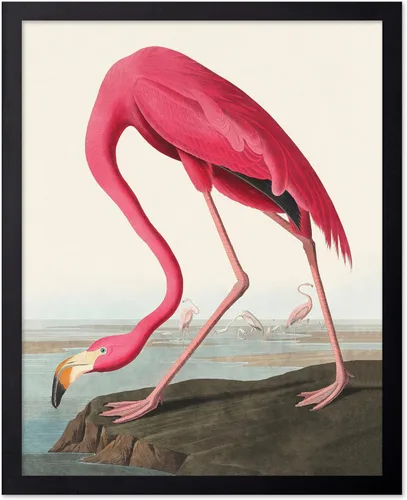 Miniatura 95 de Poster Master Vintage James Audubon Póster - Impresión Retro de Cuervo - Arte de Aves de América - Arte de Aves - Regalo para Hombres, Mujeres