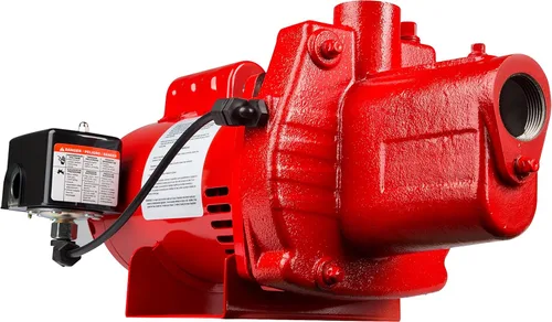 Bomba de chorro Red Lion RJS-50-PREM para pozos poco profundos, de hierro fundido, Rojo, 602207