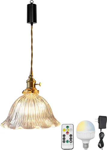 Batería recargable con control remoto LED RGB bombilla ajustable cable colgante luz transparente flor pantalla diseño vintage luz colgante para