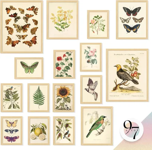 97 Decor Arte de Pared Botánico Vintage ENMARCADO - Pósters Grandes de Plantas Para Estética de Habitación, Impresiones Botánicas Vintage Decoración