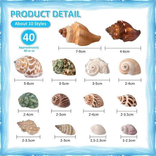 Miniatura 2 de Conchas de cangrejo ermitaño, 40 caracolas de mar naturales para conchas de repuesto y casas de cría de peces pequeños, tamaño de caracola