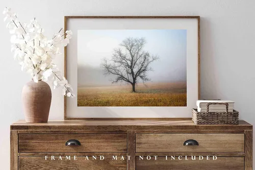 Miniatura 4 de Nature Photography Print (Not Framed) Picture of Tree Shrouded in Fog on Autumn Morning in Great Smoky Mountains Tennessee Appalachian Wall Art
