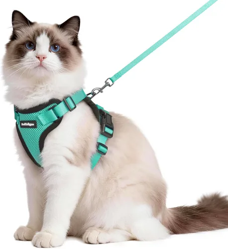 Miniatura 33 de rabbitgoo Juego de arnés y correa para gatos, arnés a prueba de escapes para paseos seguros al aire libre, chaleco suave transpirable ajustable