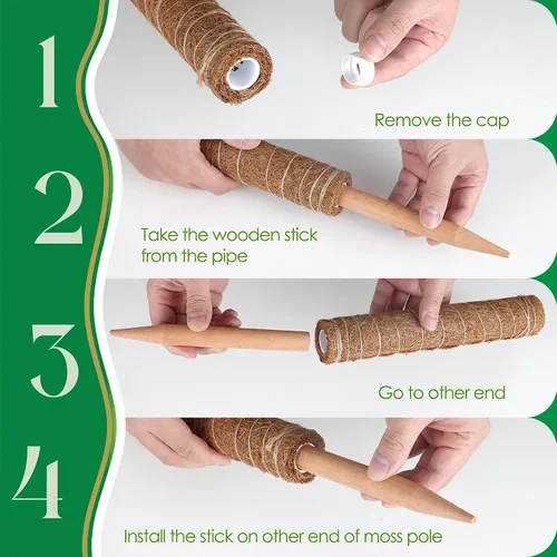 Miniatura 3 de Pisol Poste de musgo para plantas Monstera, soporte extensible, estacas para plantas en maceta de interior, enrejado de poste de fibra de coco