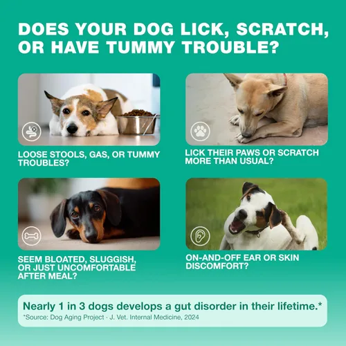 Miniatura 2 de Probióticos para la salud intestinal de los perros, digestión, inmunidad, equilibrio de levadura, piel con picazón, apoyo para alergias