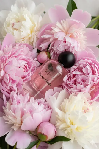 Miniatura 5 de NOIR Peony Blush – Perfume Floral Romántico para Mujeres Jugoso Manzana Roja, Peonía y Gamuza EDP de Larga Duración – 100ml / 3.4 Fl Oz