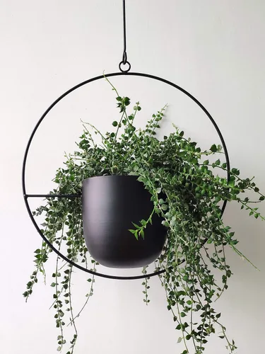 RISEON Colgador bohemio de metal negro para plantas, maceta colgante de pared y techo de metal, maceta moderna, soporte para macetas de mediados de