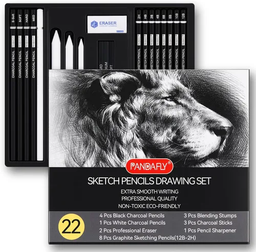 Miniatura 9 de PANDAFLY Juego de lápices de dibujo profesional, 12 lápices de grafito (14B a 2H), ideal para dibujar arte, bocetos, sombreado, lápices de artista