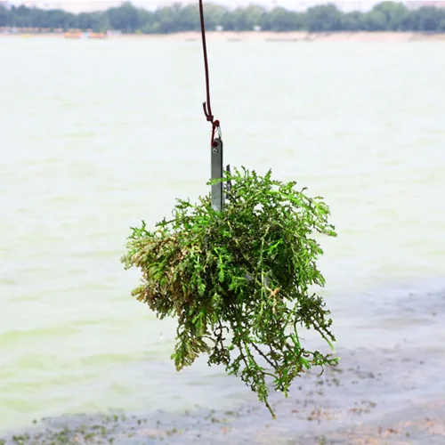 Miniatura 6 de Cortador de hierba para plantas acuáticas con extractor de malezas Paracord de 49.2 ft, cortador de malezas acuáticas, cuchillo de hierba de agua