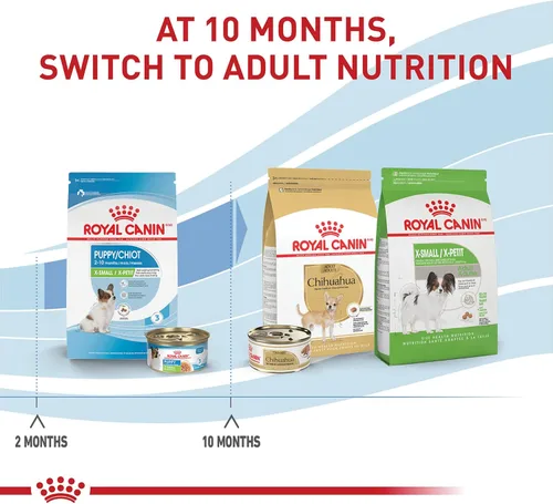 Miniatura 6 de De Royal Canin, Size Health Nutrition, comida seca para cachorros extra pequeños, comida para perros