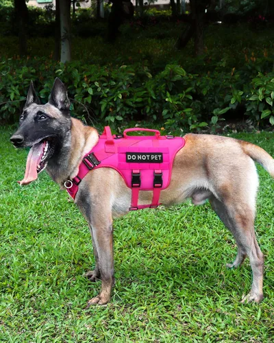 Miniatura 6 de Arnés Táctico para Perros - PETNANNY Arnés para Perros Chaleco de Perro de Servicio para Perros de Raza Grande, Panel de Velcro para Parches de Rosa
