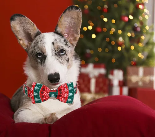 Miniatura 4 de DOGWONG Collar de Navidad para perro con pajarita, collar de perro de copo de nieve con tira roja y verde, suave, duradero, ajustable, de algodón