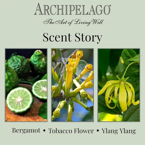 Miniatura 6 de Archipelago Botanicals Vela en Frasco de Vidrio Havana, Aroma de Bergamota, Flor de Tabaco y Ylang Ylang, Mechas de Vela Sin Plomo, Arde