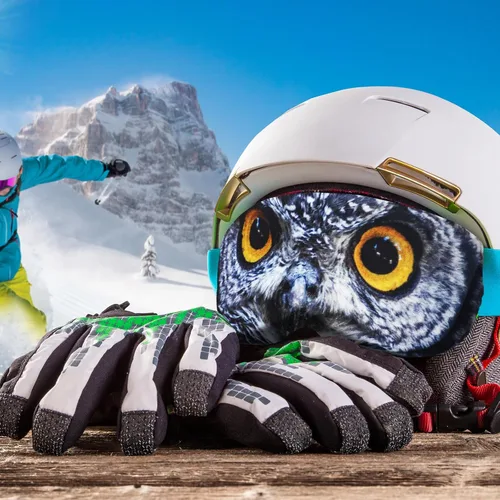 Miniatura 6 de Civaner 4 Piezas Funda para Gafas de Esquí y Snowboard, Funda para Gafas de Microfibra, Protección Contra Rayones y Polvo para Viajes Animal