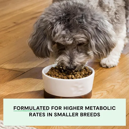 Miniatura 3 de Open Farm, alimento seco sin granos para perros de razas pequeñas, croquetas altas en proteínas, ingredientes obtenidos de manera sostenible