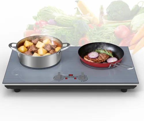 GIHETKUT 2 burner Induction cooktop,110V 4000W induction hot plate with Brushed Panel,Knob Control,9 Power Levels, Kids Lock & Timer,LED touch