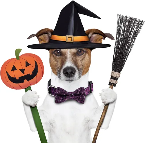 Miniatura 4 de TDTOK Collar de perro de Halloween con corbatín ajustable para Halloween, collar espeluznante para perro con hebilla de plástico ecológica