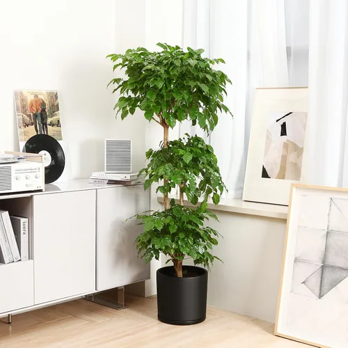 Miniatura 6 de Kazeila Macetas de cerámica para plantas de interior y exterior, flores, 10 pulgadas, blanco mate, maceta cilíndrica grande con platillo y orificio