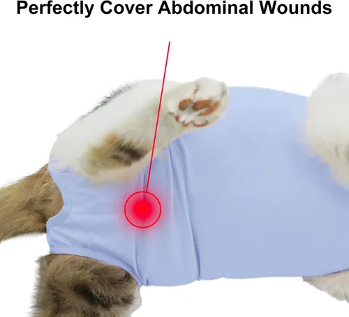 Miniatura 5 de Traje de recuperación para gatos, ropa de recuperación quirúrgica para heridas abdominales o enfermedades de la piel, mameluco de gatos después